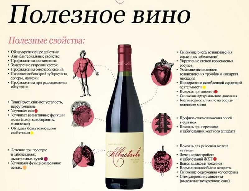 Подходит ли вам красное вино? – lifekorea.ru