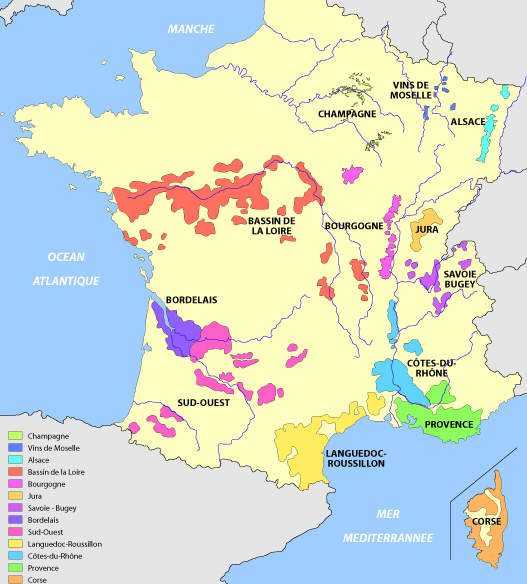 Виноделие в долине луары (val de loire) во франции, в долине королевских замков