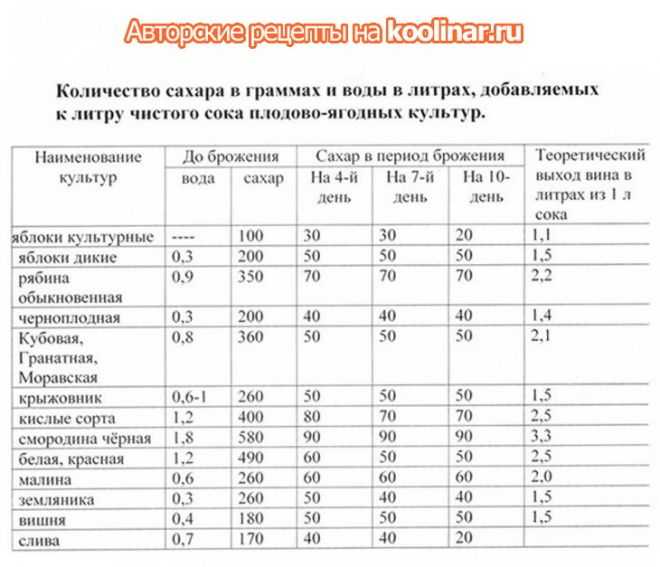 Домашнее вино с любовью: простые советы и рецепты
