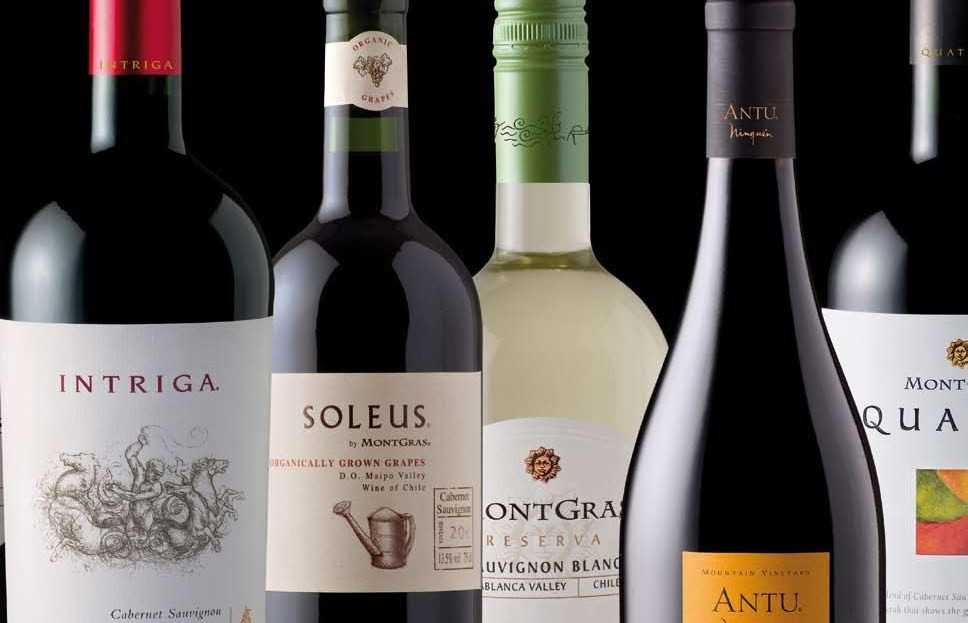 Обзор чилийского вина